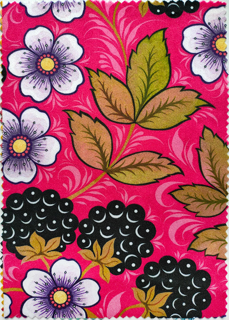 Blackberry Rose image 0