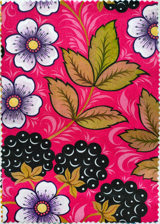 Blackberry Rose image 0