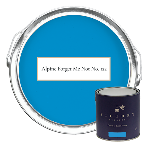 Alpine Forget Me Not - Blue Paint