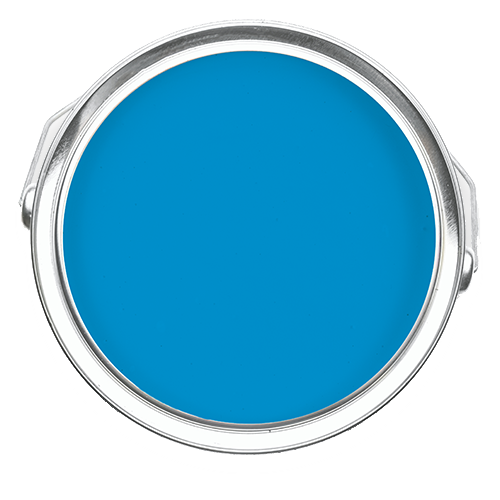 Alpine Forget Me Not - Blue Paint