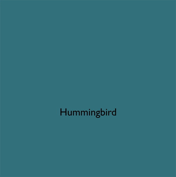 Humminngbird - Blue-Green Paint