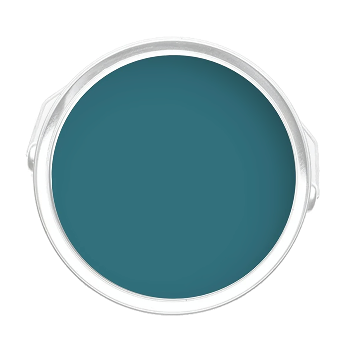 Humminngbird - Blue-Green Paint