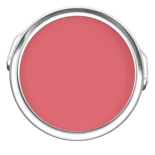 Leaping Salmon - Coral Paint