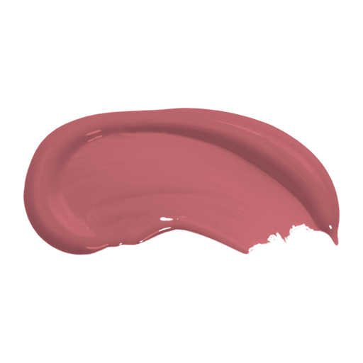 Leaping Salmon - Coral Paint