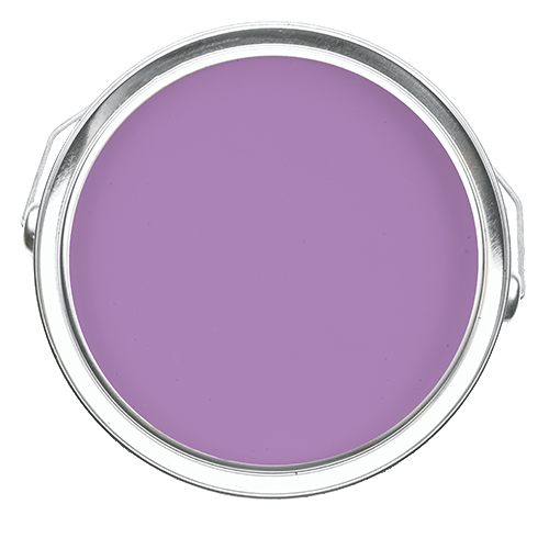 Little Lottie - Lavender Paint